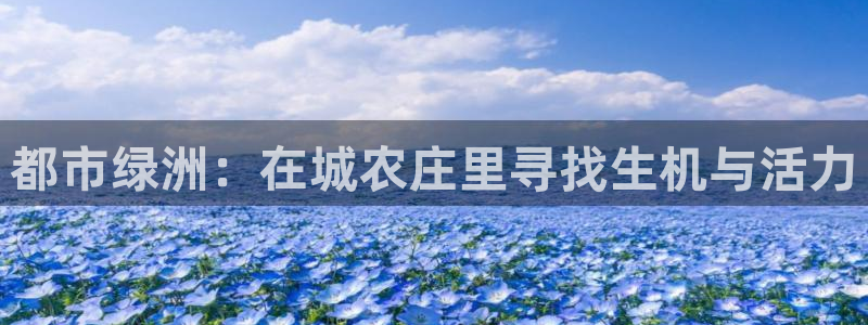nba天辰娱乐