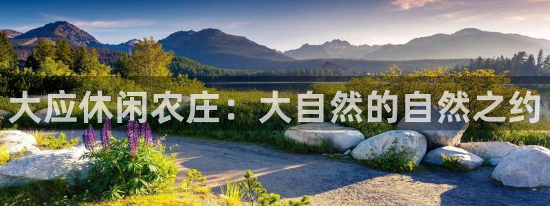 天辰娱乐老板