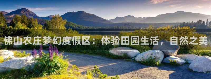 天辰娱乐网址娱乐游戏
