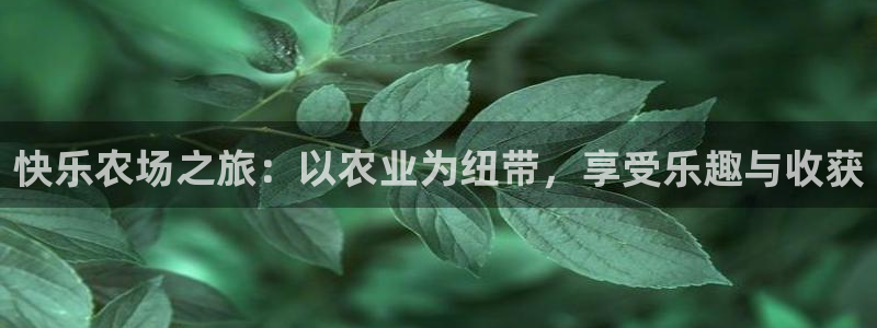 天辰娱乐平台app下载