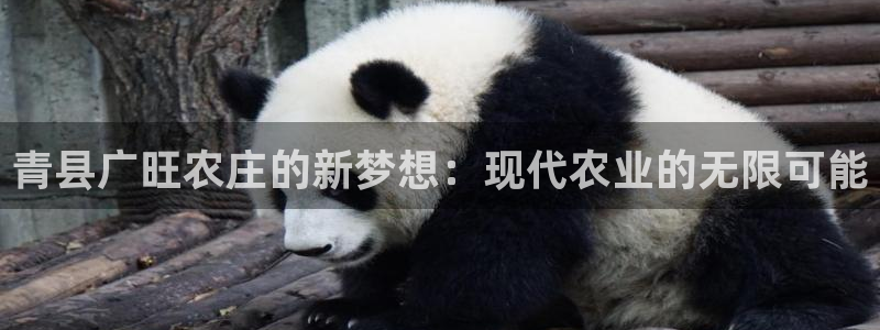 天辰娱乐官方