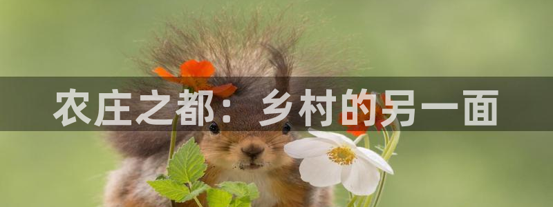 天辰娱乐入口