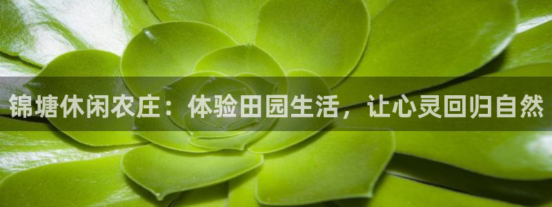 天辰娱乐台湾