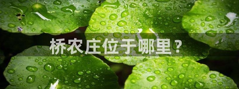 深圳天辰娱乐