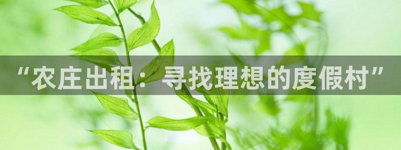 天辰娱乐 注册