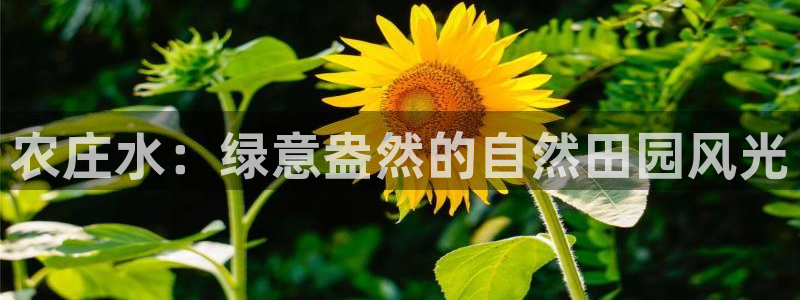 天辰娱乐tff
