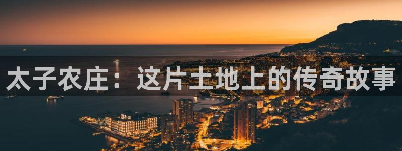 天辰娱乐集团