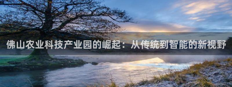 天辰娱乐 qq