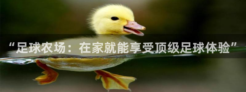 天辰娱乐链接