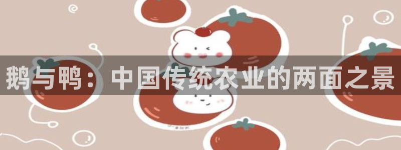 天辰娱乐内部