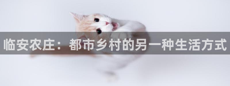 辰天娱乐