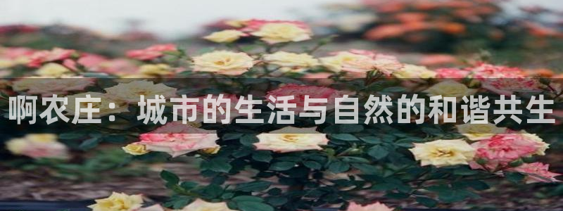 天辰在线娱乐