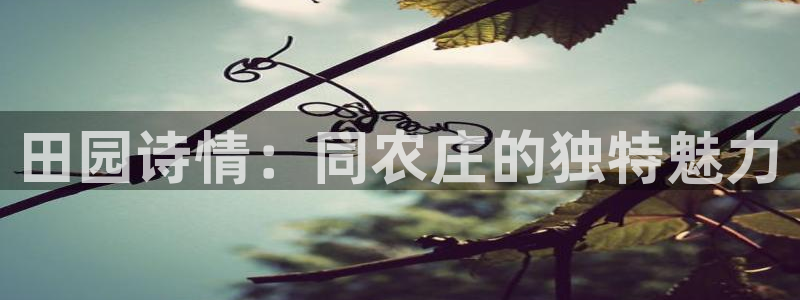 天辰娱乐下载地址