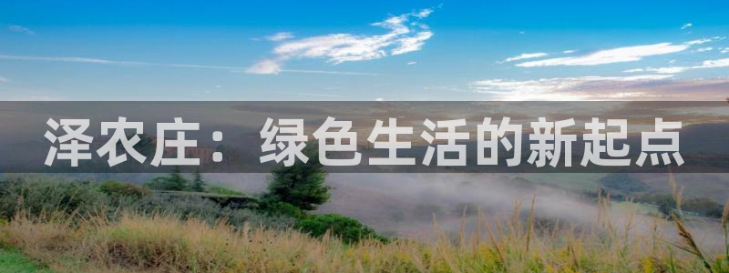 天辰娱乐元宝