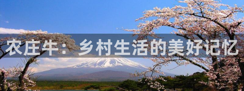 娱乐ktv天辰
