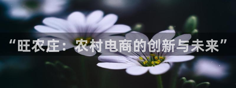 辰天娱乐