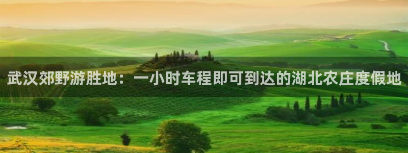天辰娱乐服务