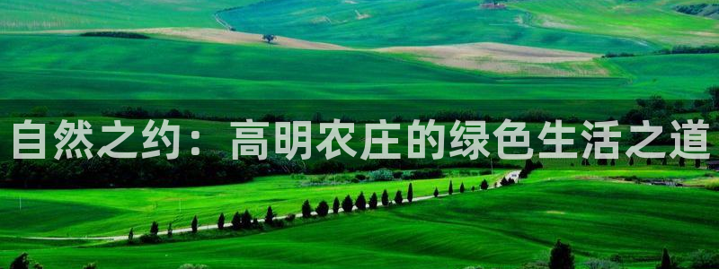 天辰娱乐线路