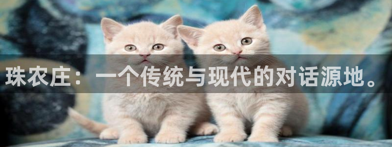 天辰娱乐官网