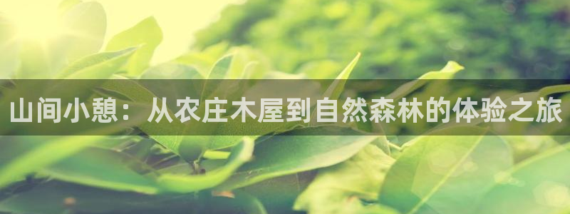 天辰娱乐53551