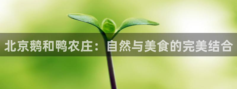天辰娱乐44516