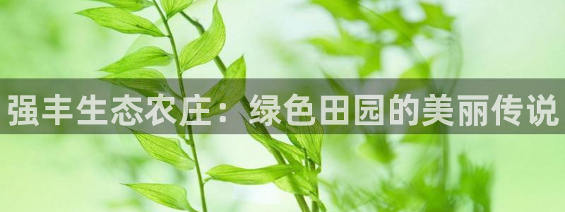 天辰娱乐反水