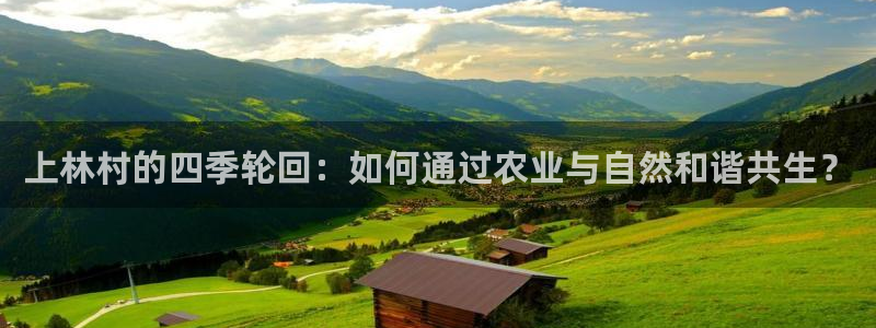 天辰娱乐开户