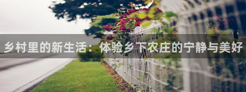 天辰娱乐软件