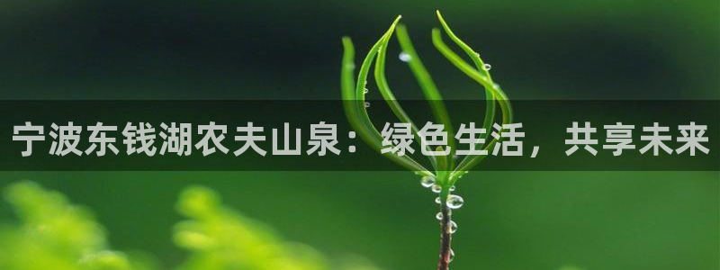 天辰娱乐-18113