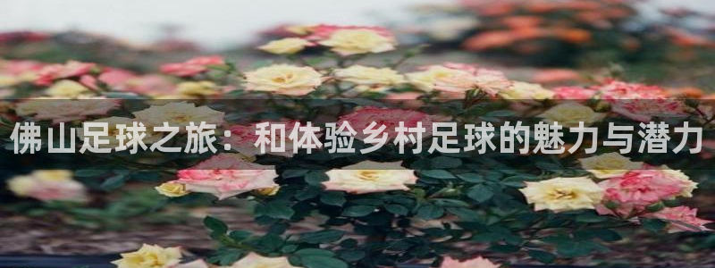 天辰娱乐文案