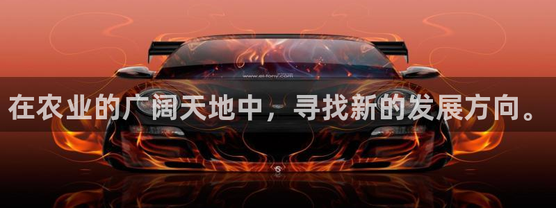 天辰娱乐官网平台下载