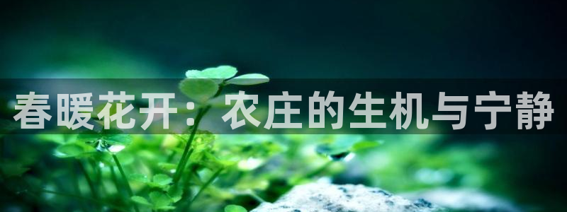 天辰娱乐1996