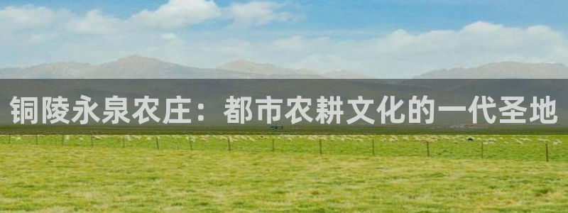 辰天娱乐用品