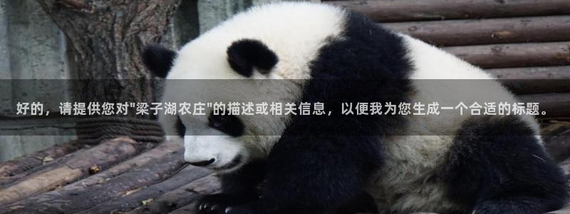 天辰娱乐平台安全吗