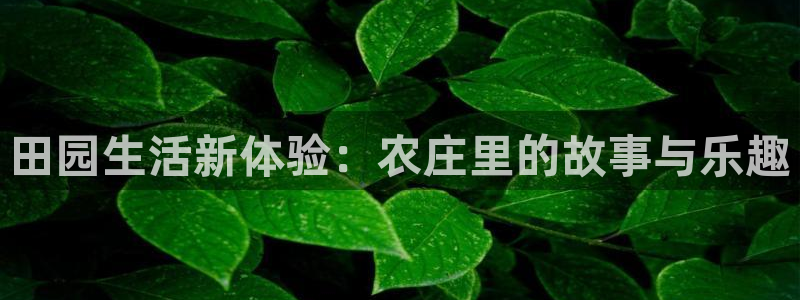 天辰娱乐_ 18113