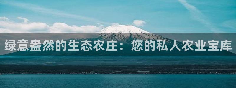 天辰娱乐招商