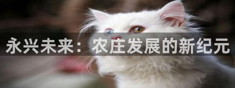 天辰娱乐黑人