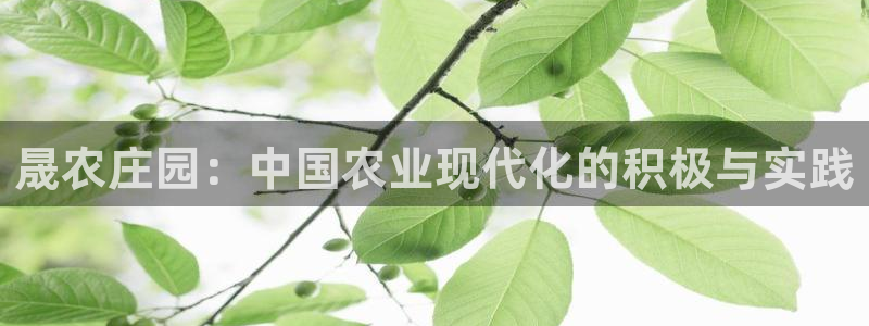 天辰娱乐新闻