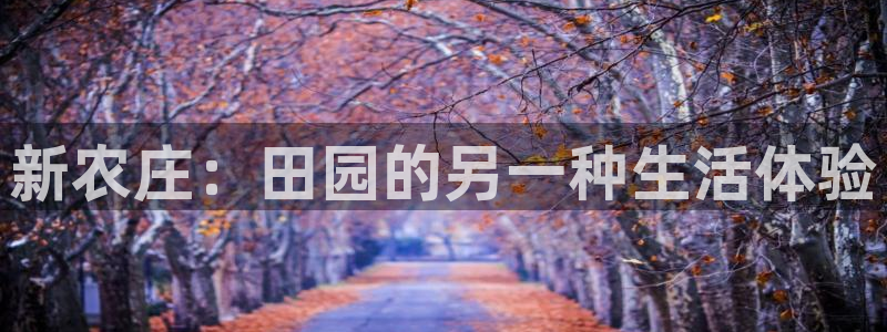 娱乐ktv天辰
