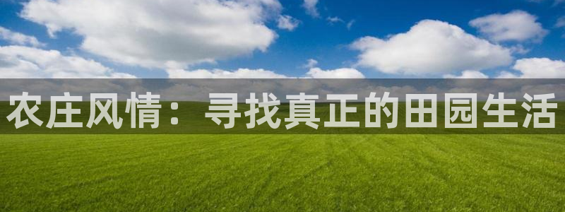 南充天辰娱乐