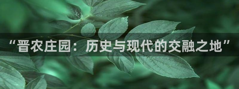 天辰娱乐
