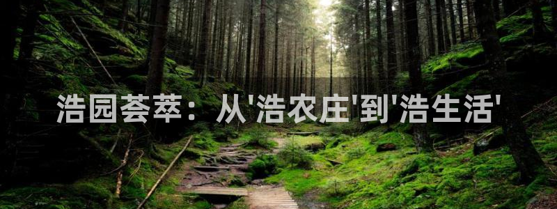 桂林天辰娱乐