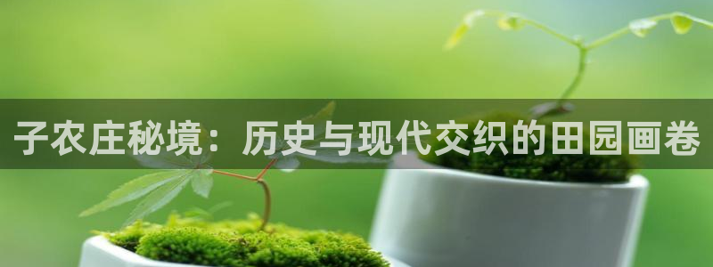 天辰宝宝娱乐