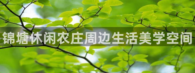 天辰宝娱乐