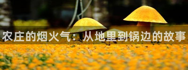 天辰在线娱乐