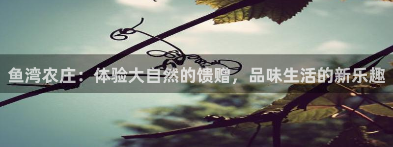 天辰平台娱乐