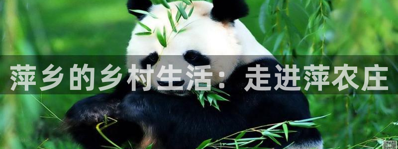 天辰娱乐线路
