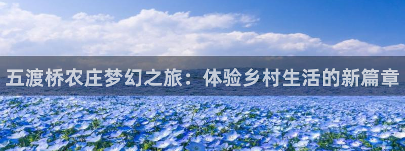 天辰娱乐怎么样