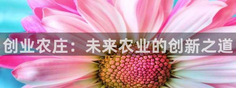 天辰娱乐39596