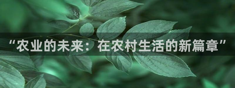 南充天辰娱乐